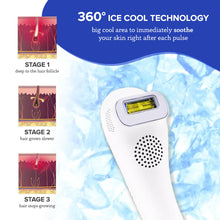 Load image into Gallery viewer, Bare Basics Lux