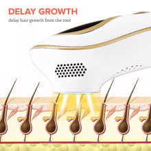 Load image into Gallery viewer, Bare Basics Lux