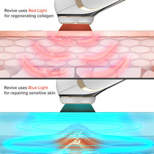 Load image into Gallery viewer, Bare Basics Revive